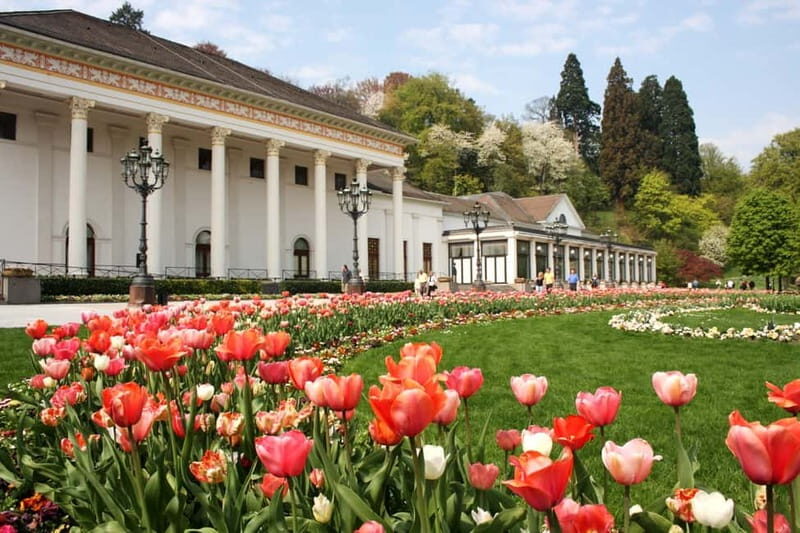 Frankfurt to Black Forest, Baden-Baden, Freiburg and by Car - Authentic Experiences & Reviews