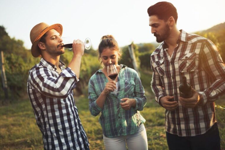 frankfurt-wine-tasting-tour-with-a-wine-expert-2