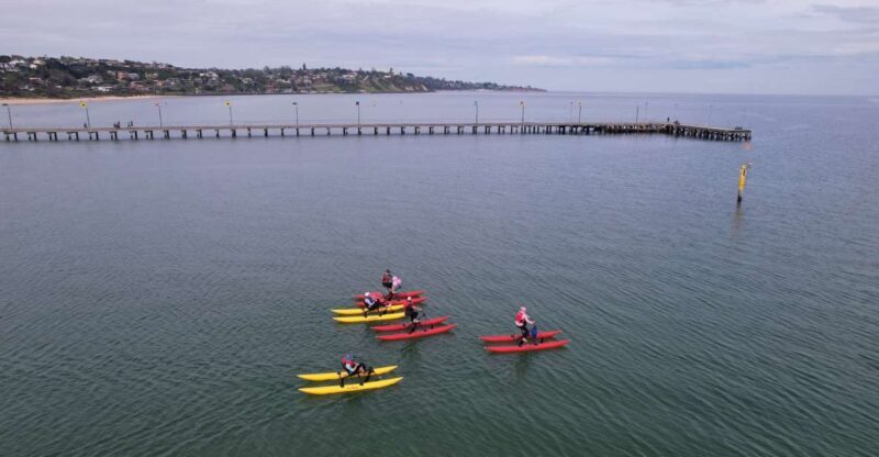 Frankston: Port Phillip Bay Water Bike Tour - What to Expect on the Water Bike Tour