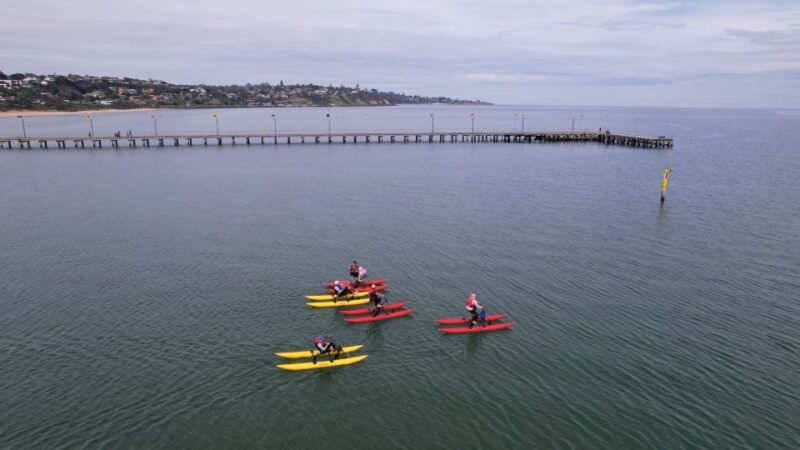 Frankston: Port Phillip Bay Water Bike Tour - Who Will Love This Tour?