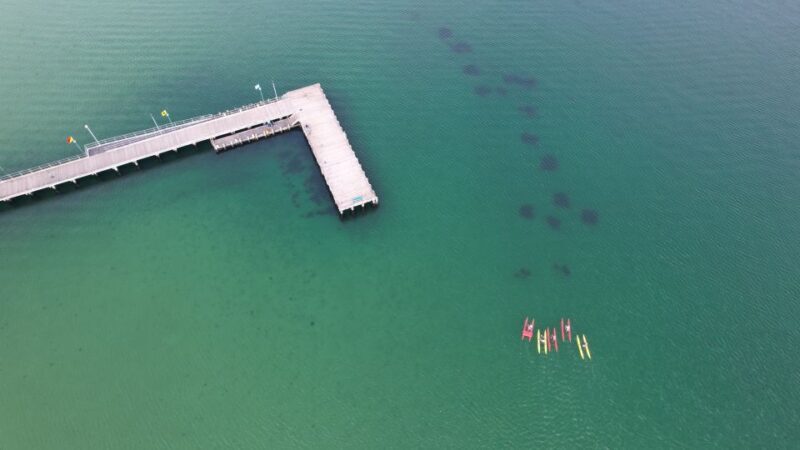 Frankston: Port Phillip Bay Water Bike Tour - Final Thoughts