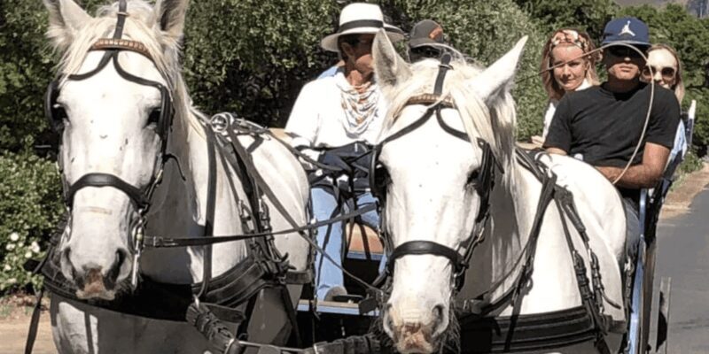 Franschhoek: 2h Private Engagement/Anniversary Carriage Ride - An In-Depth Look at the Experience