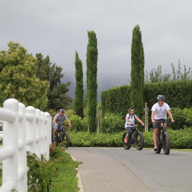 Franschhoek: E-Bike Guided Winery Tour - Who Will Love This Tour?