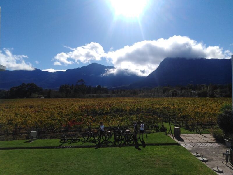 Franschhoek: E-Bike Guided Winery Tour - The Sum Up