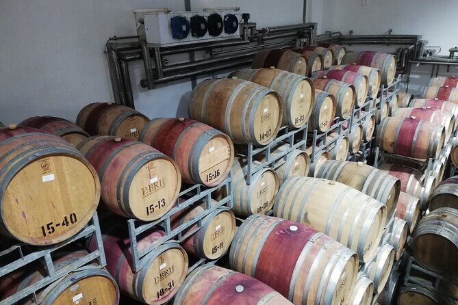 Franschhoek E-bike Ride & Wine w.Lunch - What’s Included and Practical Details
