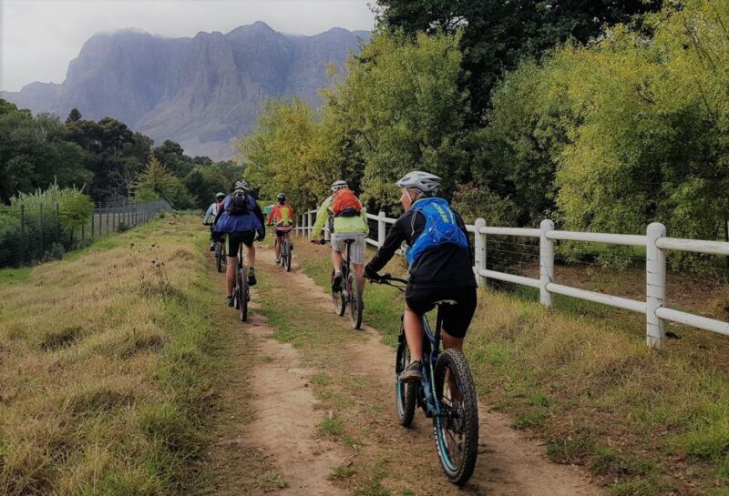 Franschhoek: E-bike Tour with Wine Tasting and Lunch - Reviews and Authentic Insights