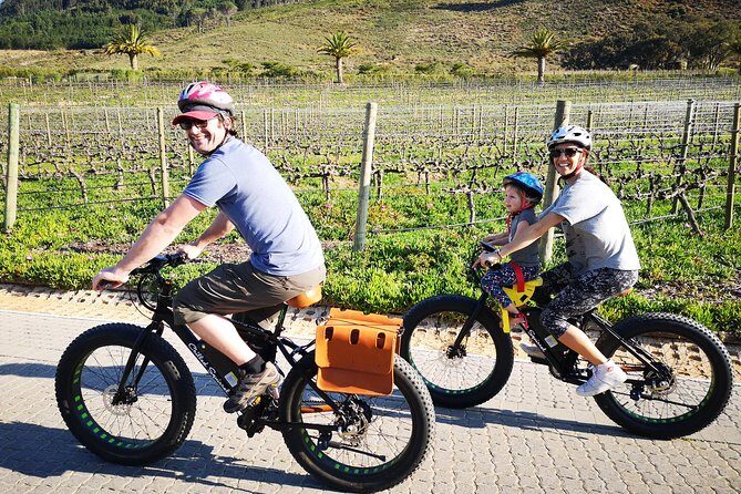 Franschhoek E-Bike Wine Tour (Half Day) - Key Points