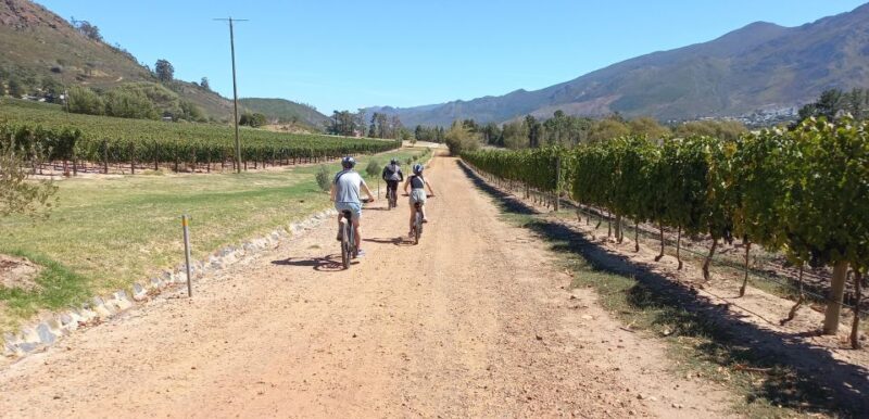 Franschhoek E-Bike & Wine Tour - A Balanced Look at the Franschhoek E-Bike & Wine Tour