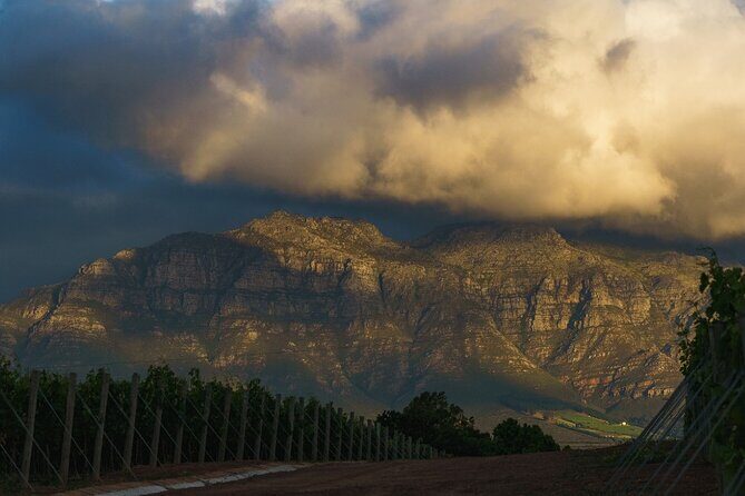 Franschhoek Family Cycle Tour - Frequently Asked Questions