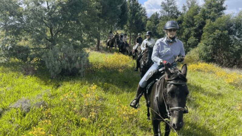 Franschhoek: Full-Day Horseback Riding and Wine Tasting Tour - Key Points