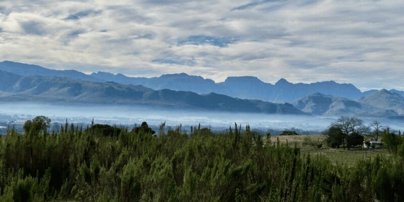 Franschhoek: Full-Day Horseback Riding and Wine Tasting Tour - An In-Depth Look at the Tour Experience