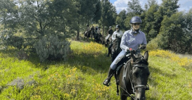 Franschhoek: Full-Day Horseback Riding and Wine Tasting Tour - Potential Drawbacks or Considerations