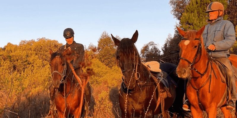 Franschhoek: Full-Day Horseback Riding and Wine Tasting Tour - FAQ