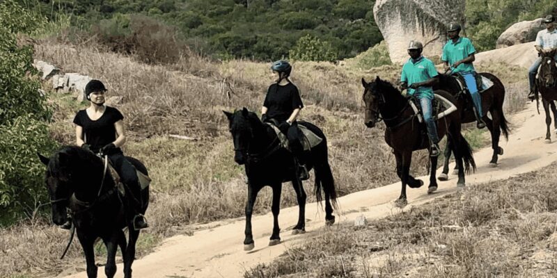Franschhoek: Half Day Horse Trail and Wine Tasting - An In-Depth Look at the Tour Experience