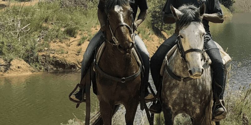 Franschhoek: Half Day Horse Trail and Wine Tasting - What to Consider Before Booking