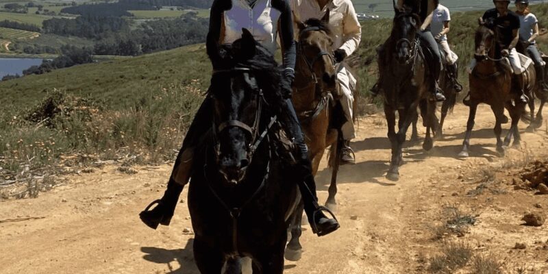 Franschhoek: Half Day Horse Trail and Wine Tasting - Final Thoughts