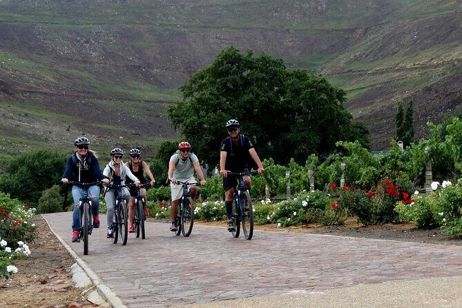 Franschhoek Half Day Winelands Mountain Bike Tour - Authentic Experiences and Tips