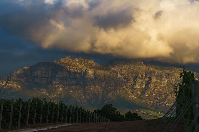 Franschhoek Half Day Winelands Mountain Bike Tour - Pricing and Value