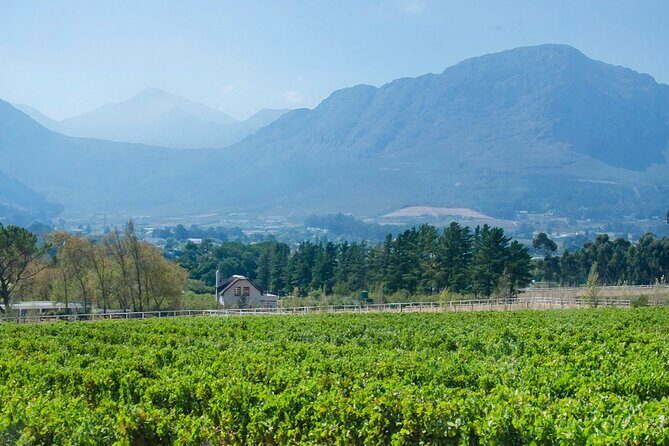 Franschhoek Half Day Winelands Mountain Bike Tour - Who Is This Tour Best Suited For?