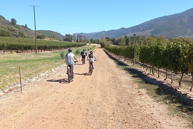 Franschhoek Shared E-Bike and Wine Tour - In-Depth Look at the Experience