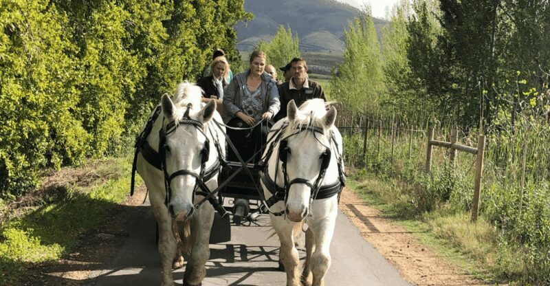 Franschhoek: Vrede en Lust Wine Estate 1H Carriage Ride - Key Points
