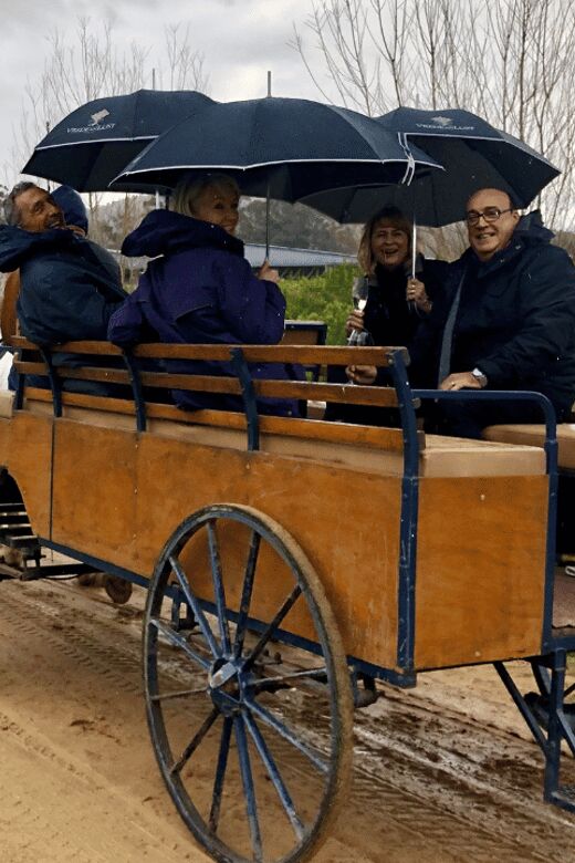 Franschhoek: Vrede en Lust Wine Estate 1H Carriage Ride - An Authentic Look at the Carriage Ride Experience