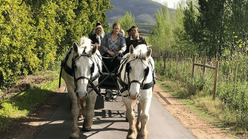 Franschhoek: Vrede en Lust Wine Estate 1H Carriage Ride - The Value of the Experience