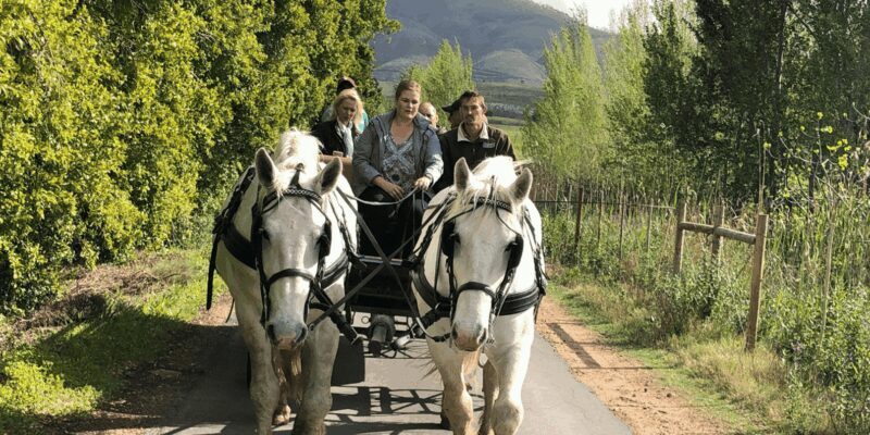 Franschhoek: Vrede en Lust Wine Estate 1H Carriage Ride - FAQ