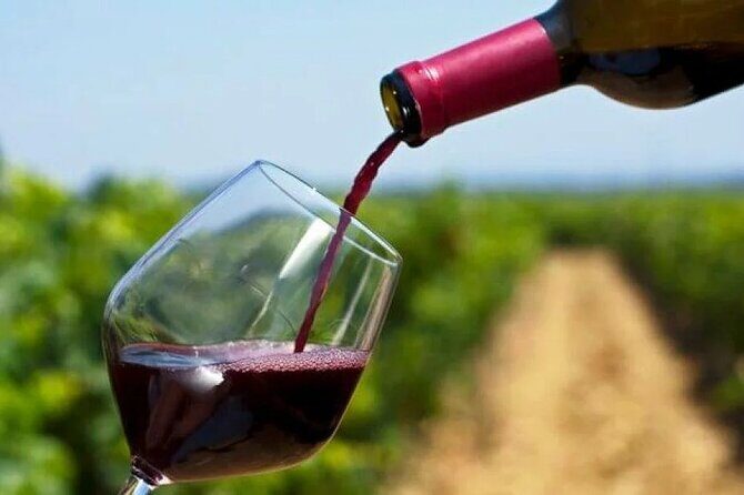 Franschhoek Wine Tram Hop On Hop Off Tour - Frequently Asked Questions