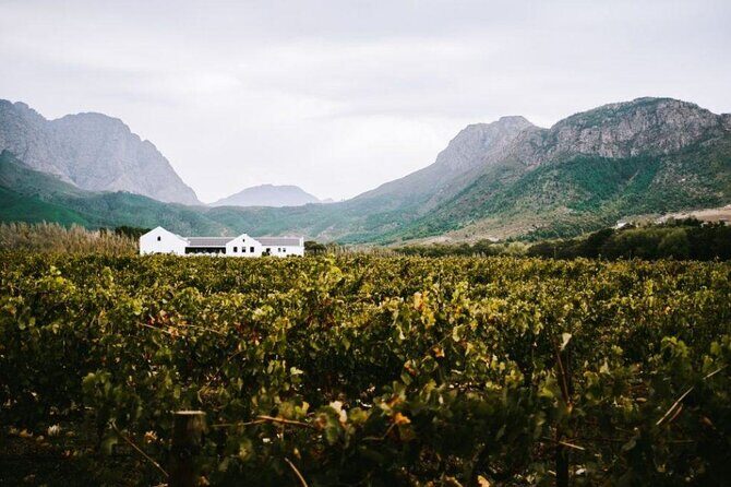 Franschhoek Wine Tram Hop-On Hop-Off Tour from Cape Town. - The Itinerary in Detail