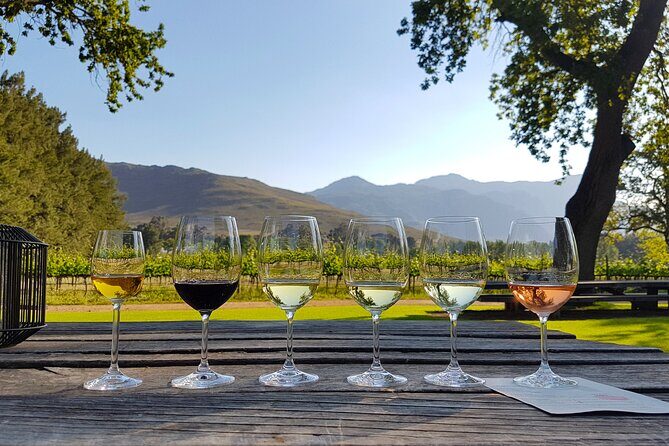 Franschhoek wine Tram & Stellenbosch Town Full day tour - Who Should Book This Tour?