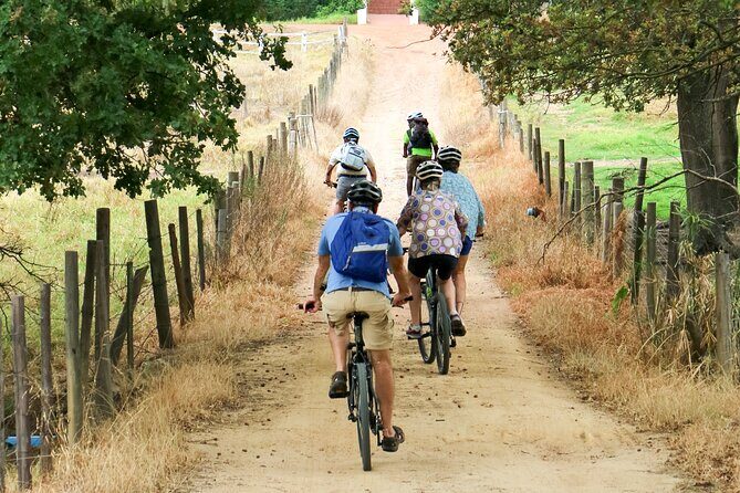 Franschhoek Winelands Luxury EBike Tour - Analyzing the Value