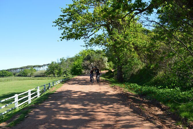 Franschhoek Winelands Meander © - The Sum Up