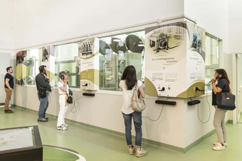 Frantoio di San Gimignano: tour of the oil mill and tasting - A Closer Look at the Experience