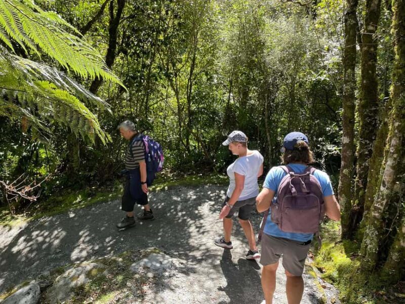 Franz Josef: Franz Josef Glacier Lookout Guided Walk - FAQ