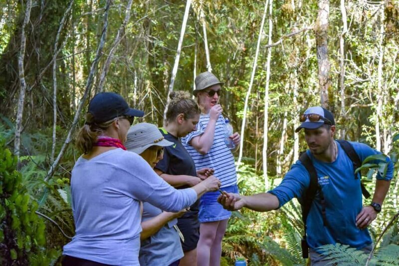 Franz Josef Glacier: 2.5-Hour Lake Mapourika Cruise and Walk - An In-Depth Look at the Tour Experience