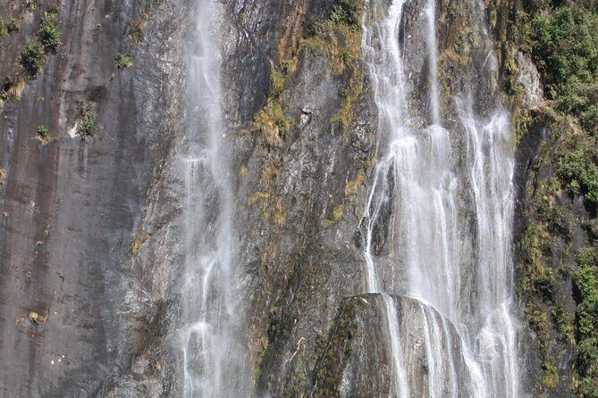 Franz Josef Nature Tour - The Experience in Perspective