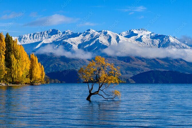 Franz Josef to Queenstown Small Group Tour via Wanaka 1 -Way - Value for Money