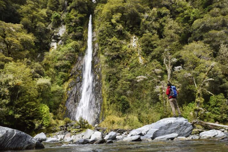 Franz Josef: to Wanaka Small Group 1 Way Tour with Lunch - A Scenic Adventure from Franz Josef to Wanaka