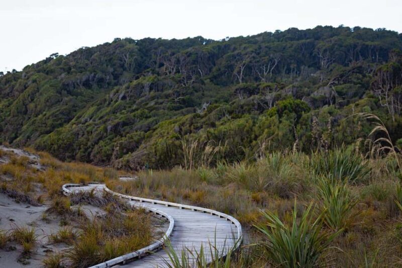 Franz Josef: to Wanaka Small Group 1 Way Tour with Lunch - Final Thoughts