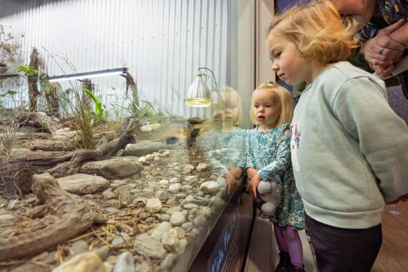 Franz Josef: West Coast Wildlife Centre Entry Ticket - What Travelers Are Saying