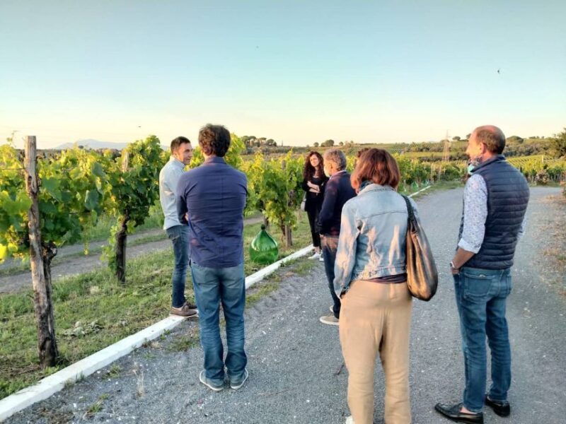 frascati-2-hours-wine-and-oil-tasting-with-vineyards-tour