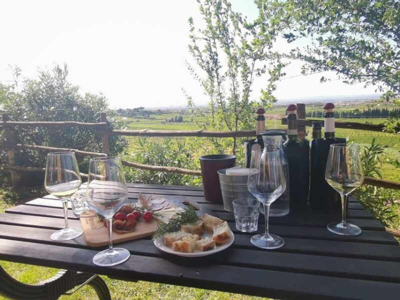 frascati-2-hours-wine-and-oil-tasting-with-vineyards-tour