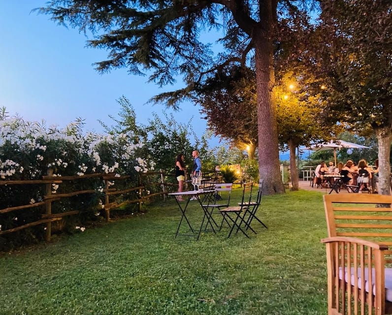 frascati-2-hours-wine-and-oil-tasting-with-vineyards-tour