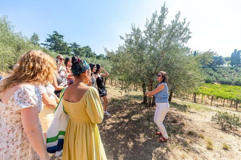 Frascati: Half Day Wine Tour - Pricing and Booking Considerations