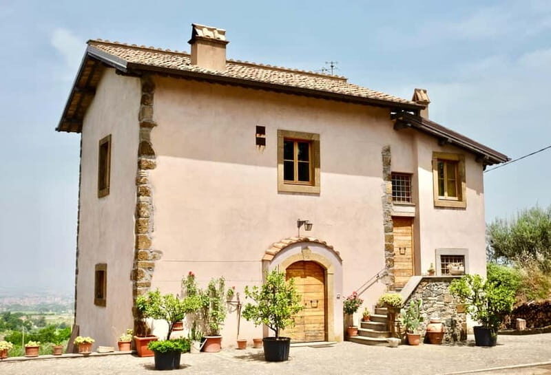 Frascati: Half Day Wine Tour - Who Will Love This Tour?