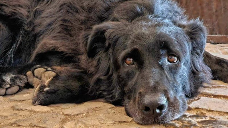 Frascati: Half Day Wine Tour - FAQ