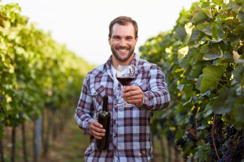 frascati-private-tour-w-lunch-wine-tasting-in-a-vineyard
