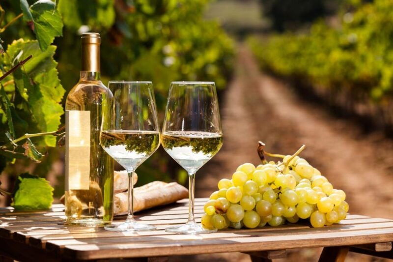 frascati-private-tour-w-lunch-wine-tasting-in-a-vineyard