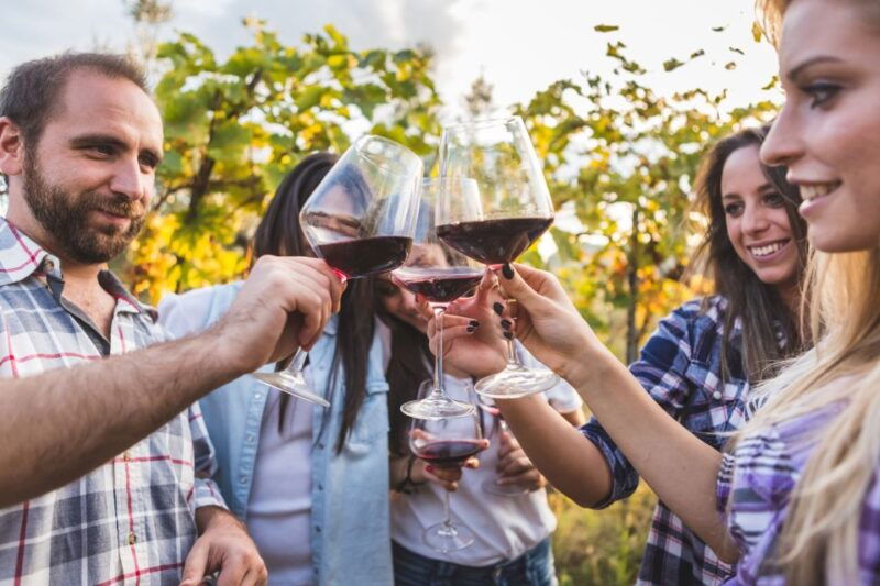 frascati-private-tour-w-lunch-wine-tasting-in-a-vineyard